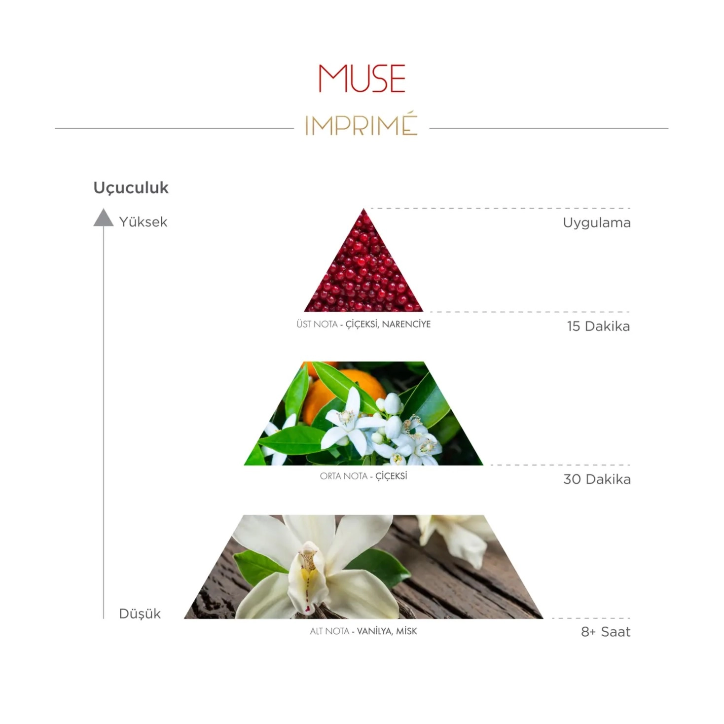 Imprime, Muse, EDP Kadın Parfüm -  50 ml