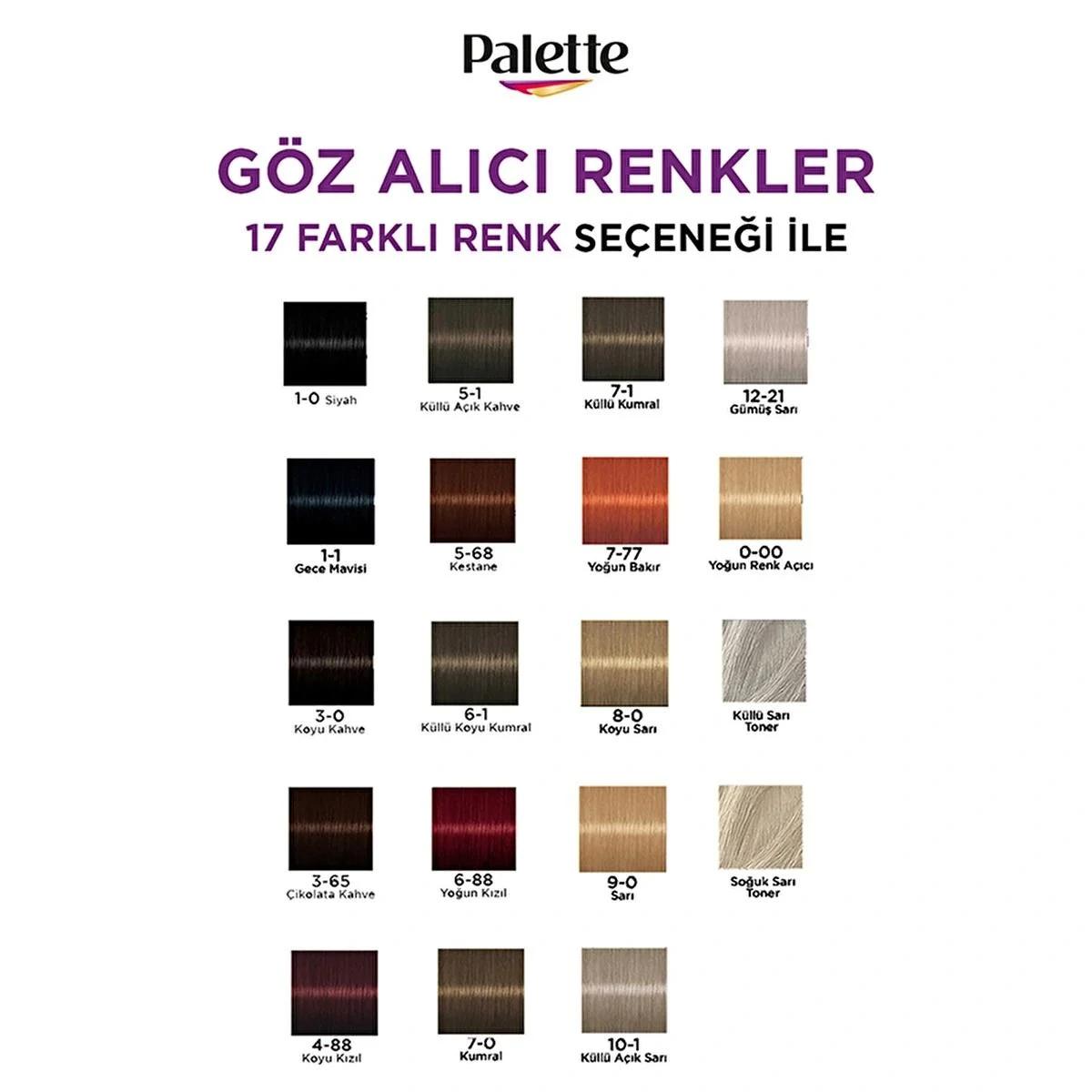 Palette Göz Alıcı Renkler Saç Boyası 1-0 Siyah 50 ml
