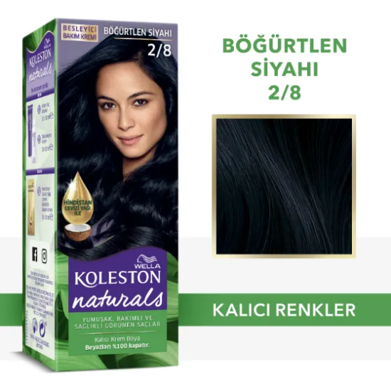 Wella Koleston Naturals Saç Boyası 2/8 Böğürtlen Siyahı