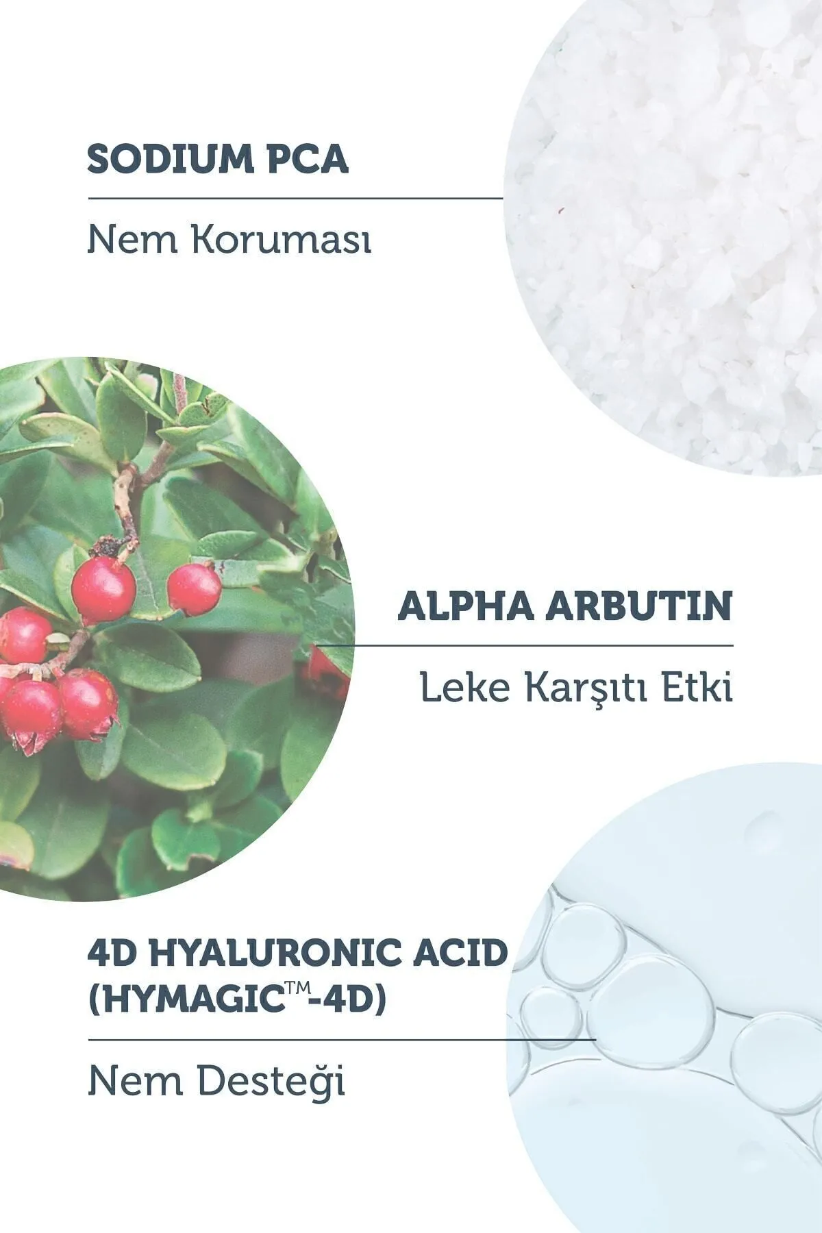 The Purest, Aydınlatıcı ve, Leke Karşıtı Arbutin, Cilt Bakım Serumu - 30 ml