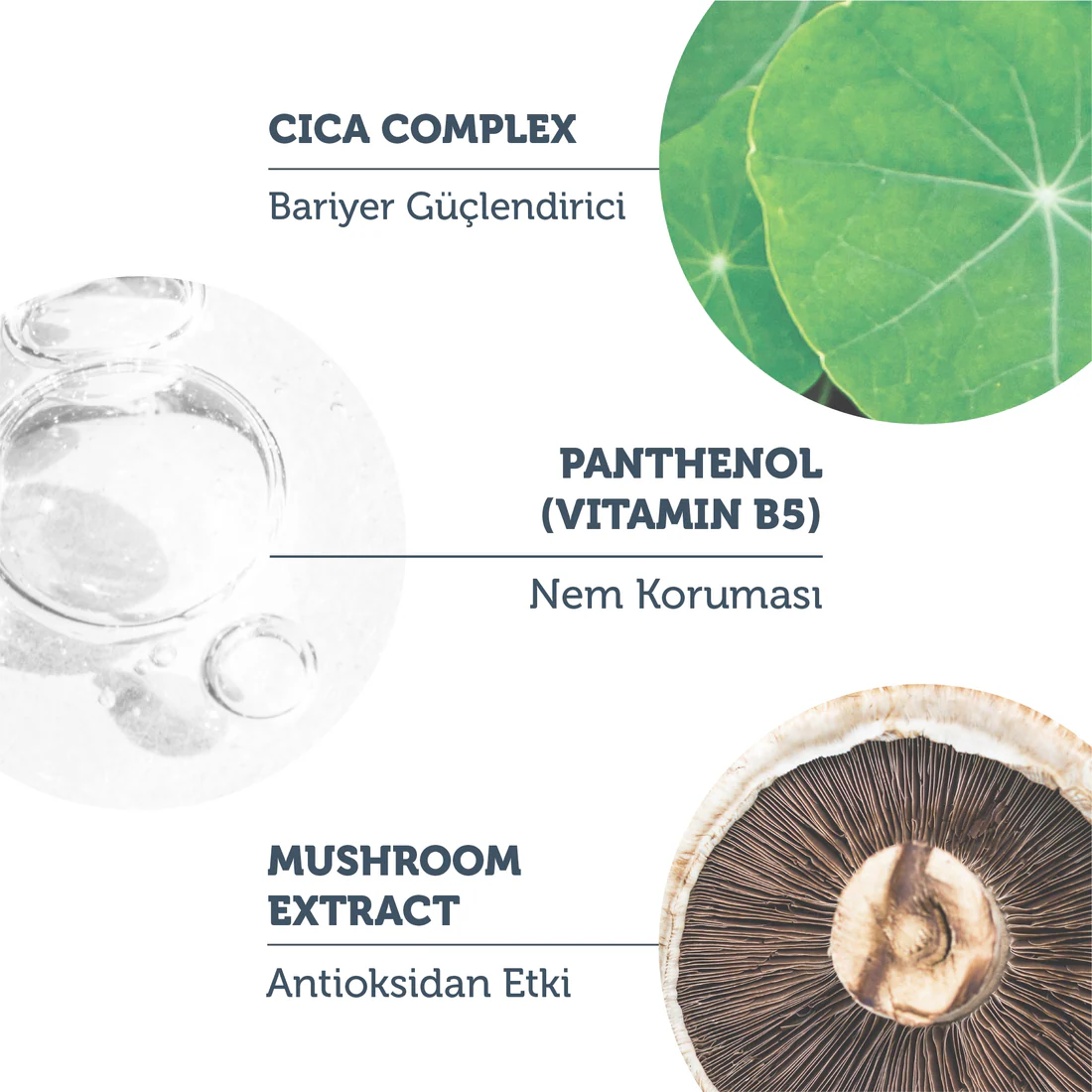 The Purest Solutions, Hassas Ciltler için, Kızarıklık Karşıtı ve Bariyer Onarıcı, Cica Serum - 30 ml